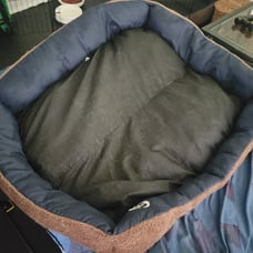 Dog bed