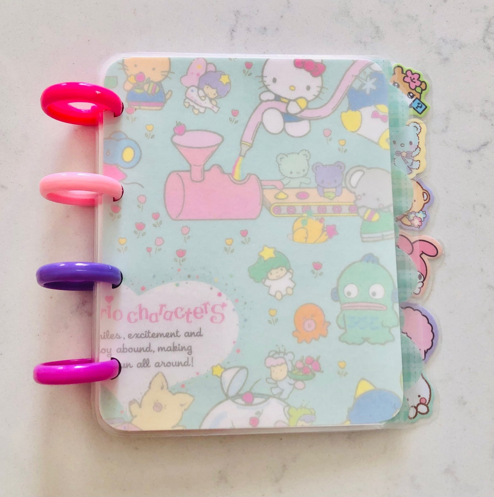 Sample Sanrio characters notebooks