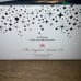 Disney 100th anniversary Cinderella tea cup set by english lady Co