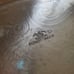 FB ROGERS vintage silver tray 15 wide