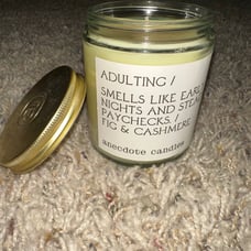 Anecdote adulting candle nice gift smells like early nights and steady paychecks