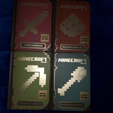 Minecraft book lot