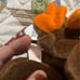 Ty rare moose - chocolate