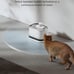PETLIBRO Cordless Cat Water Fountain – 2.5L Dockstream with Stainless Steel Tray
