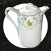 P.V. Vessra Antique Porcelain Floral w Gold Accents Lidded Pot Pitcher Germany