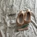BRAND NEW Grishko Pointe Shoes