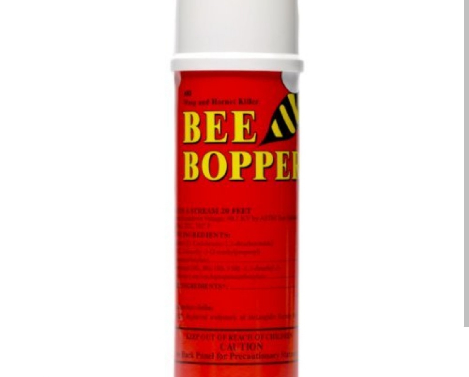 Wasp & Hornet Spray