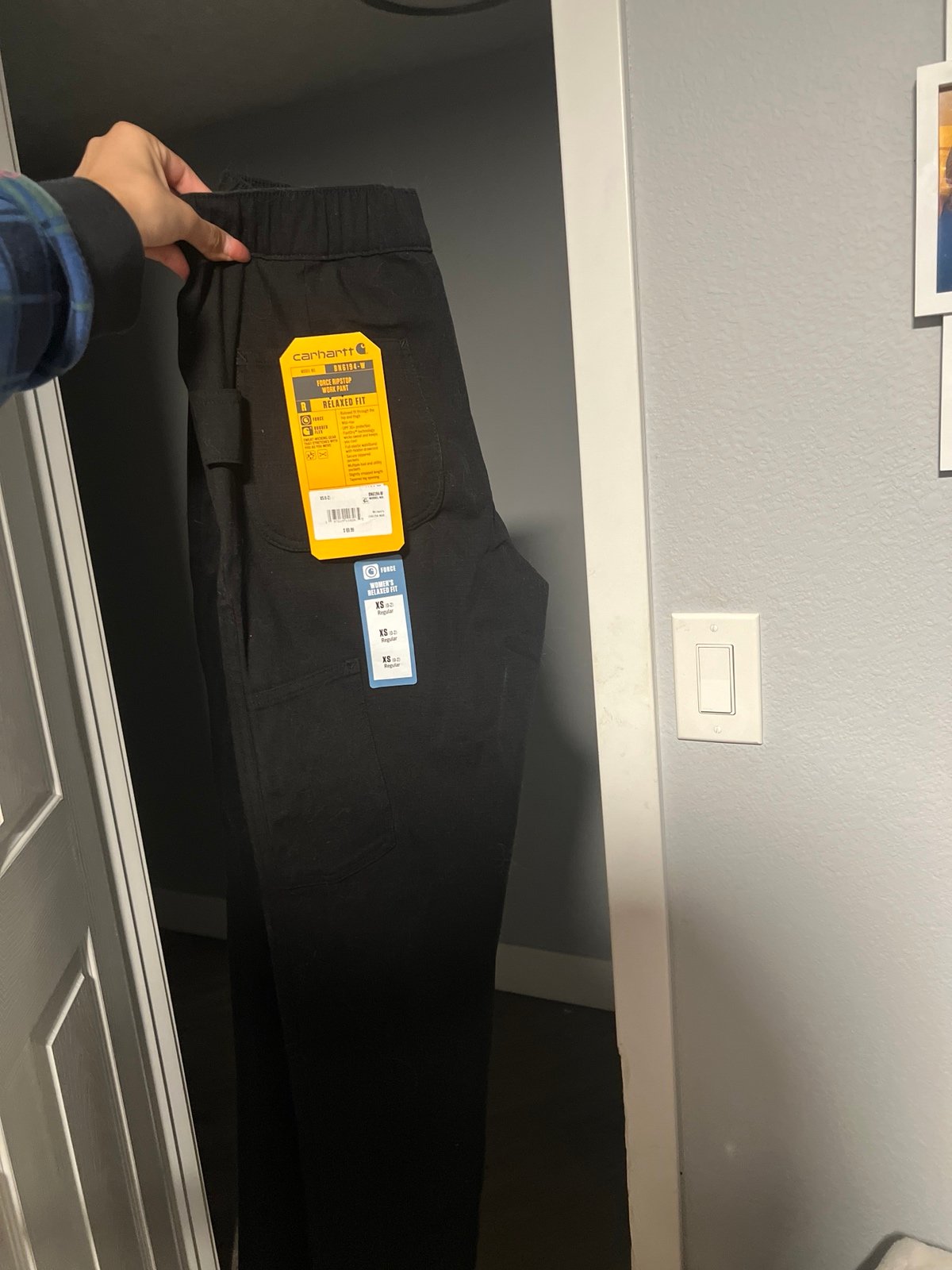Carhartt pants