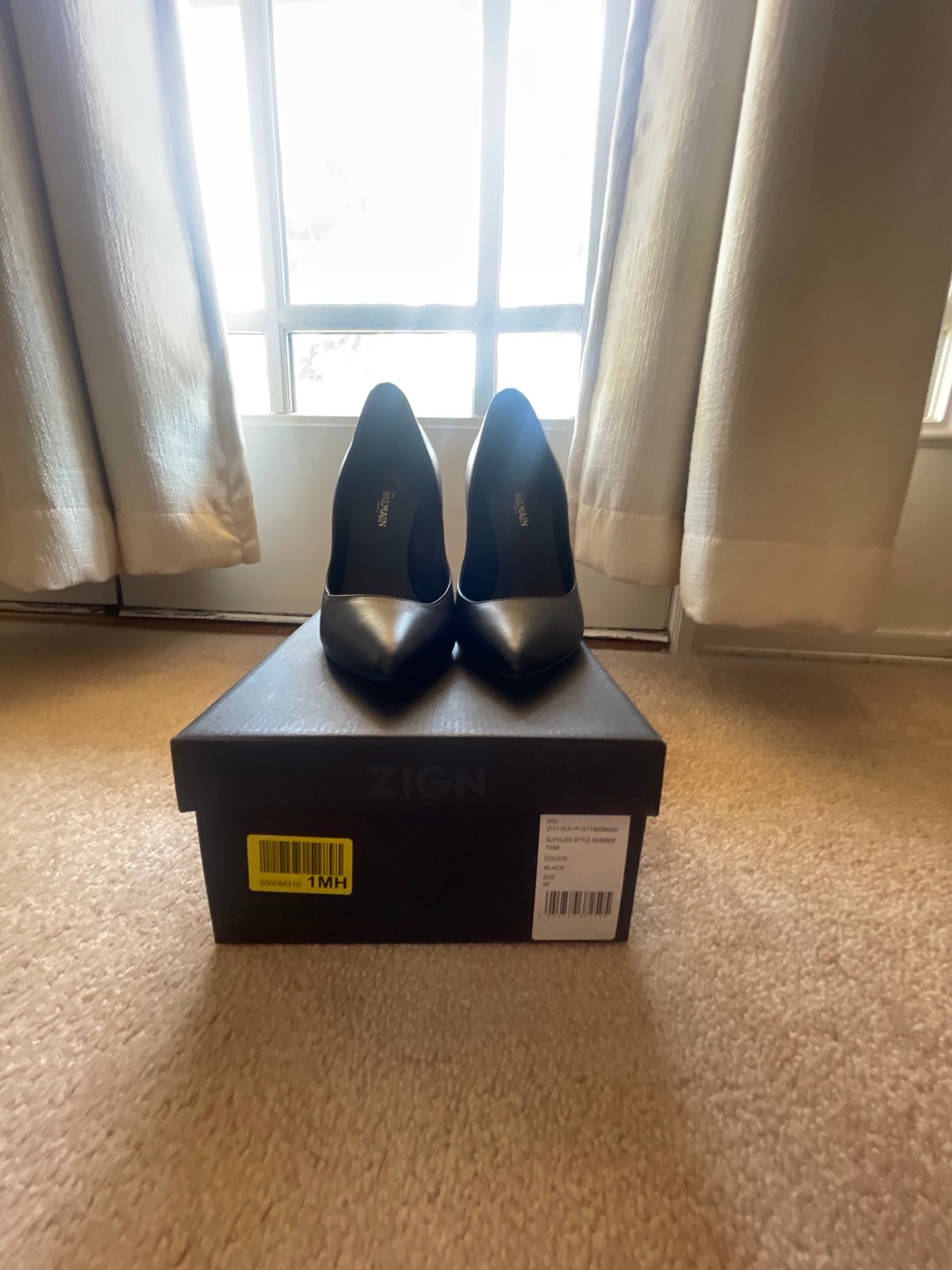 Guisepe Zanotti x Balmain heels