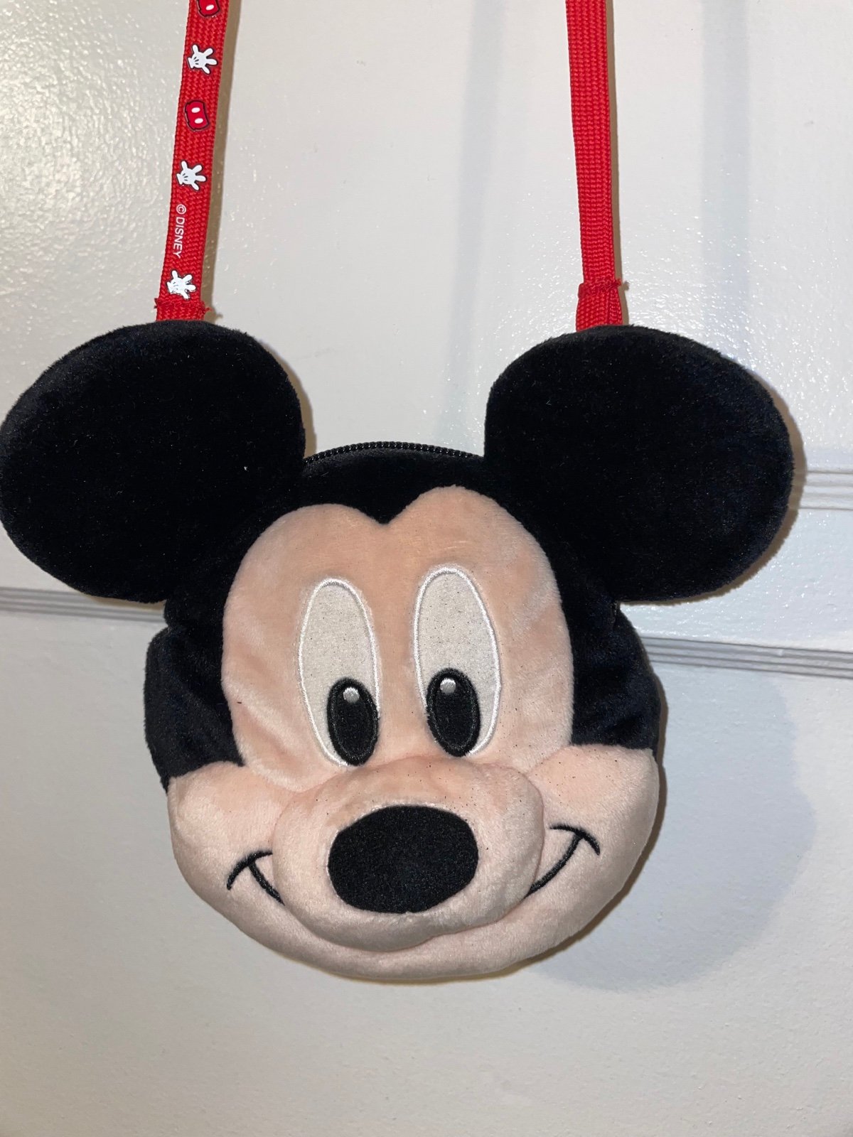 Tokyo Disney Mickey Passholder
