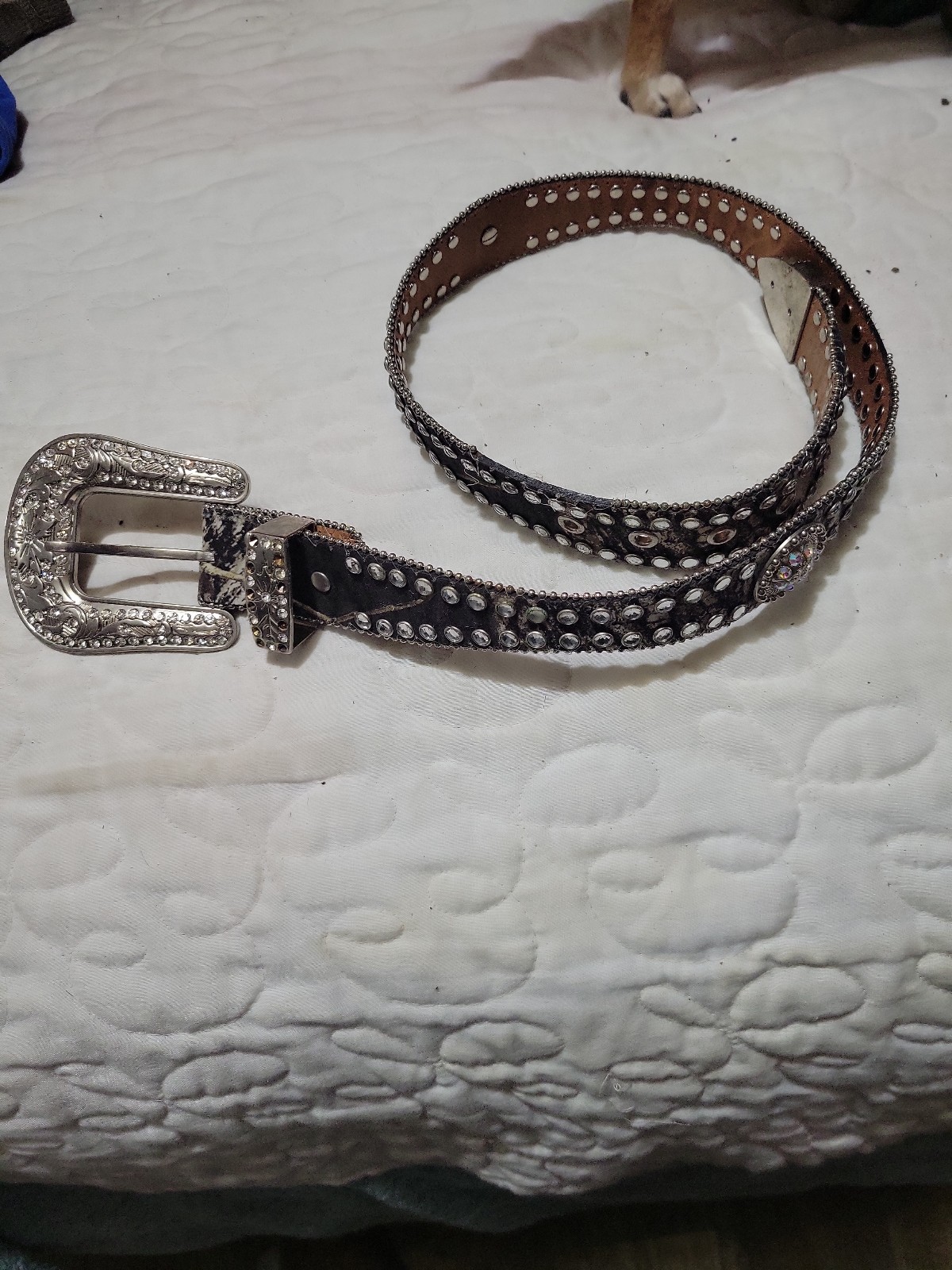 Western Belt
