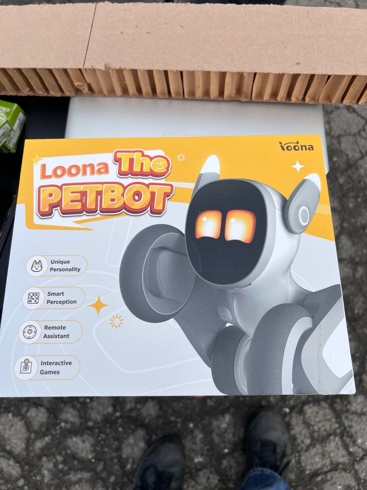 Loona Pet Robot