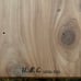Bible in Cedar Box