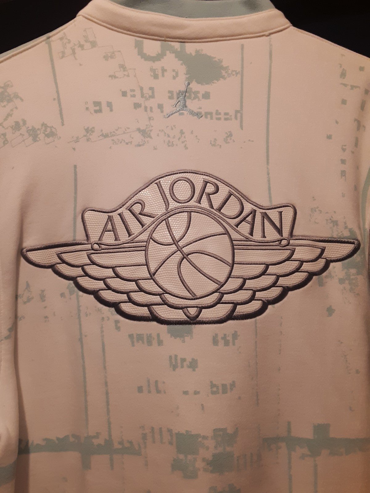 Air Jordan WINGS logo in Snakeskin leather
