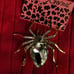 Spider Brooch