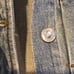NWT Current / Elliot Studded Denim Jacke