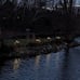 Solar Garden Lights - New Upgraded Solar Swaying Light, Sway by Wind, Solar Out