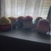 squishmallow bundle food squad