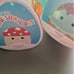 squishmallow bundle food squad