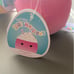 squishmallow bundle food squad