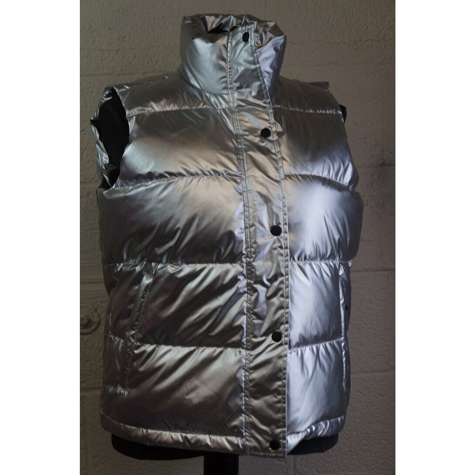 Petite Max 600 Down Silver Shine Puffer Vest Full Zip size M 10/12 NWT