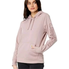 Carhartt Relaxed Fit Midweight Rain Defender Graphic Hooded Sweatshirt