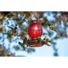 Hummingbird Feeder, 18016P Glass Hummingbird Feeder for Outdoors - Red