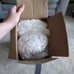NWT Pharmedoc Curved Neck Pillow
