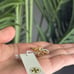 Tory Burch Ring