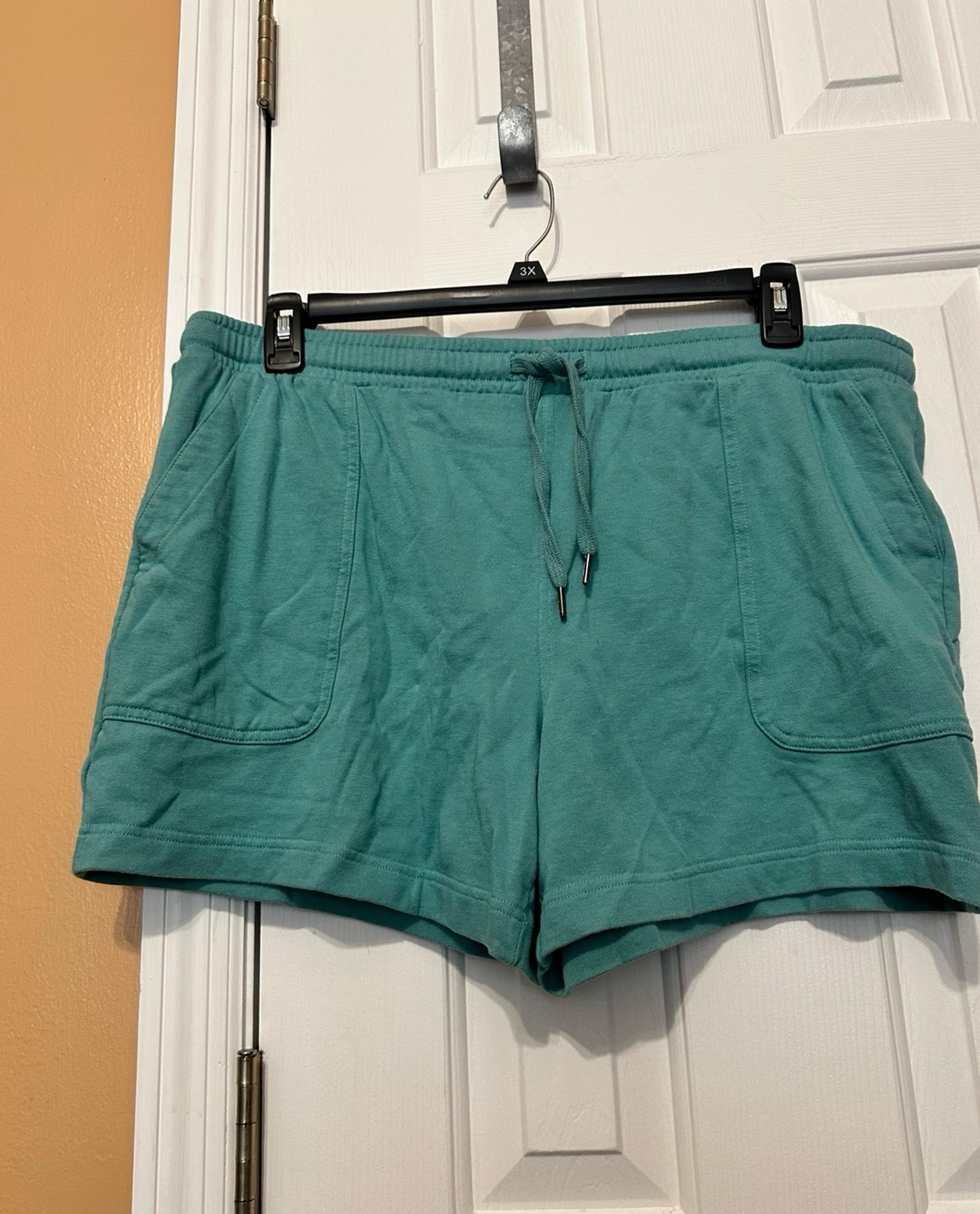 Woman’s Plus Size Shorts Size 1X by Terra & Sky