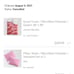 Society 6 duvet cover set with shams