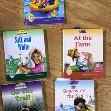 American language series 5/6 books