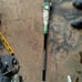 Chicago Pole Saw