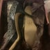(1835) Zofie Women's Lucia Leather Pump Size 11 NWT