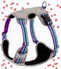 Dog harness