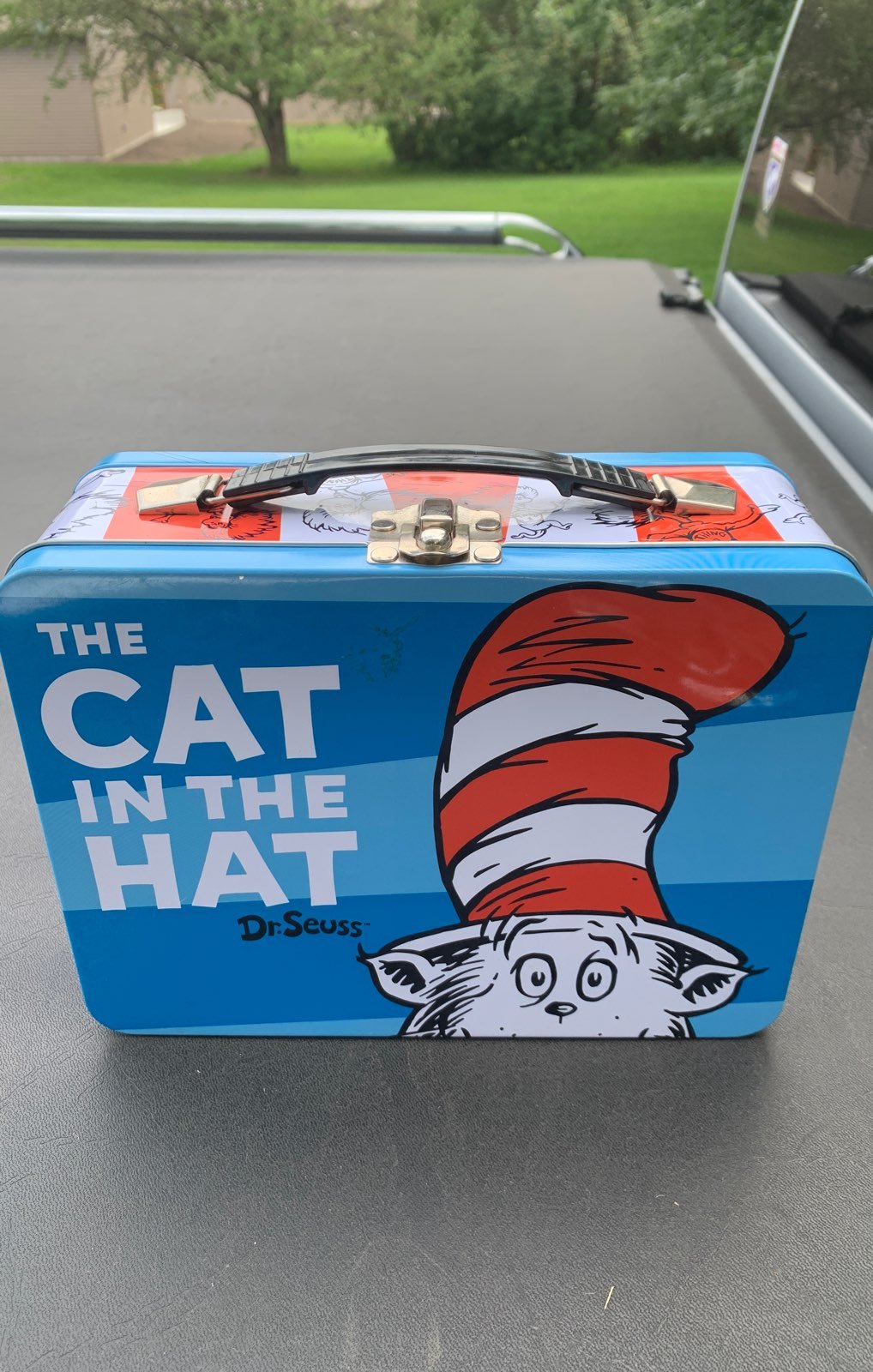 THE CAT IN THE HAT LUNCHBOX/TOTE!