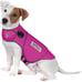 Dog thunder shirt
