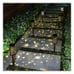 Led Star Moon Lamp, Outdoor Garden Flame Ground ，6pcs Hollow Solar Lawn Lamp