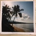 Hawaiian beach and palm trees pillow cover