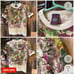 Vintage 90s Jean Paul Gaultier Classique Wool Botanical Print Top