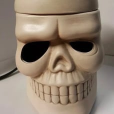 Human Skull Skeleton Wax Warmer Scent Warmer Electric Corded Spooky, Steam Punk