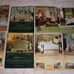 HUGE Romantic Homes Magazine Lot