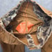 Ball And Buck The 8 Point Pant Men's 38x28 (36x28) Brown Made in USA Hunting