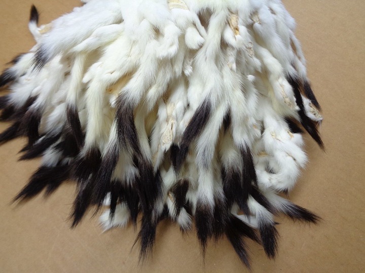 #2 Quality Tanned Ermine with Full Tail/Weasel Fur for Crafts & Stocking Stuffer