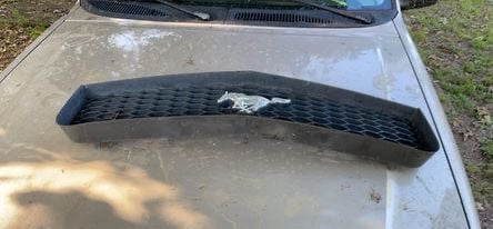 2008 mustang grill