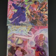 Xmen Jim Lee Alex Ross