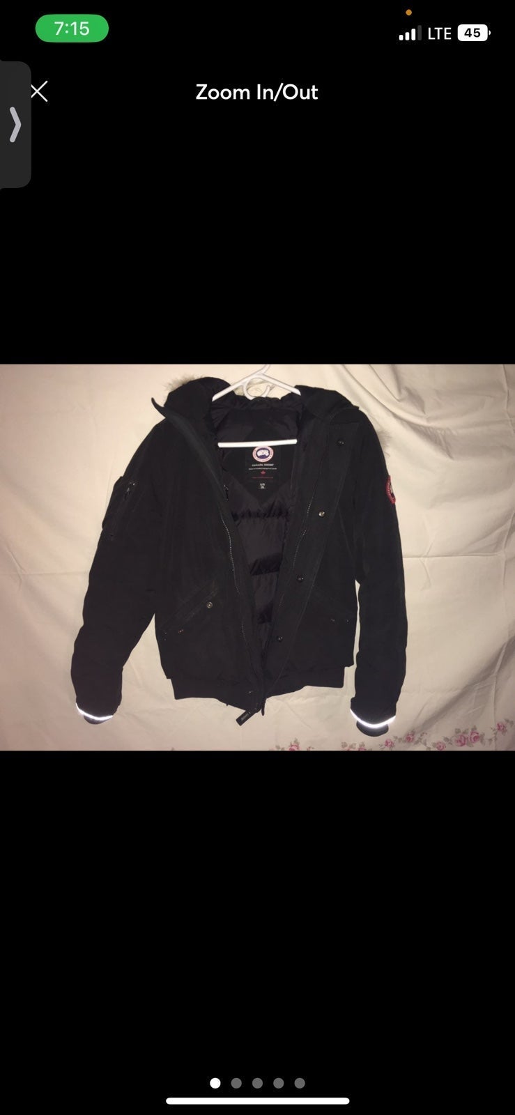 Canada goose