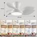 25 White LED Ceiling Fan with Light and Remote - Reversible Quiet for Bedroom,