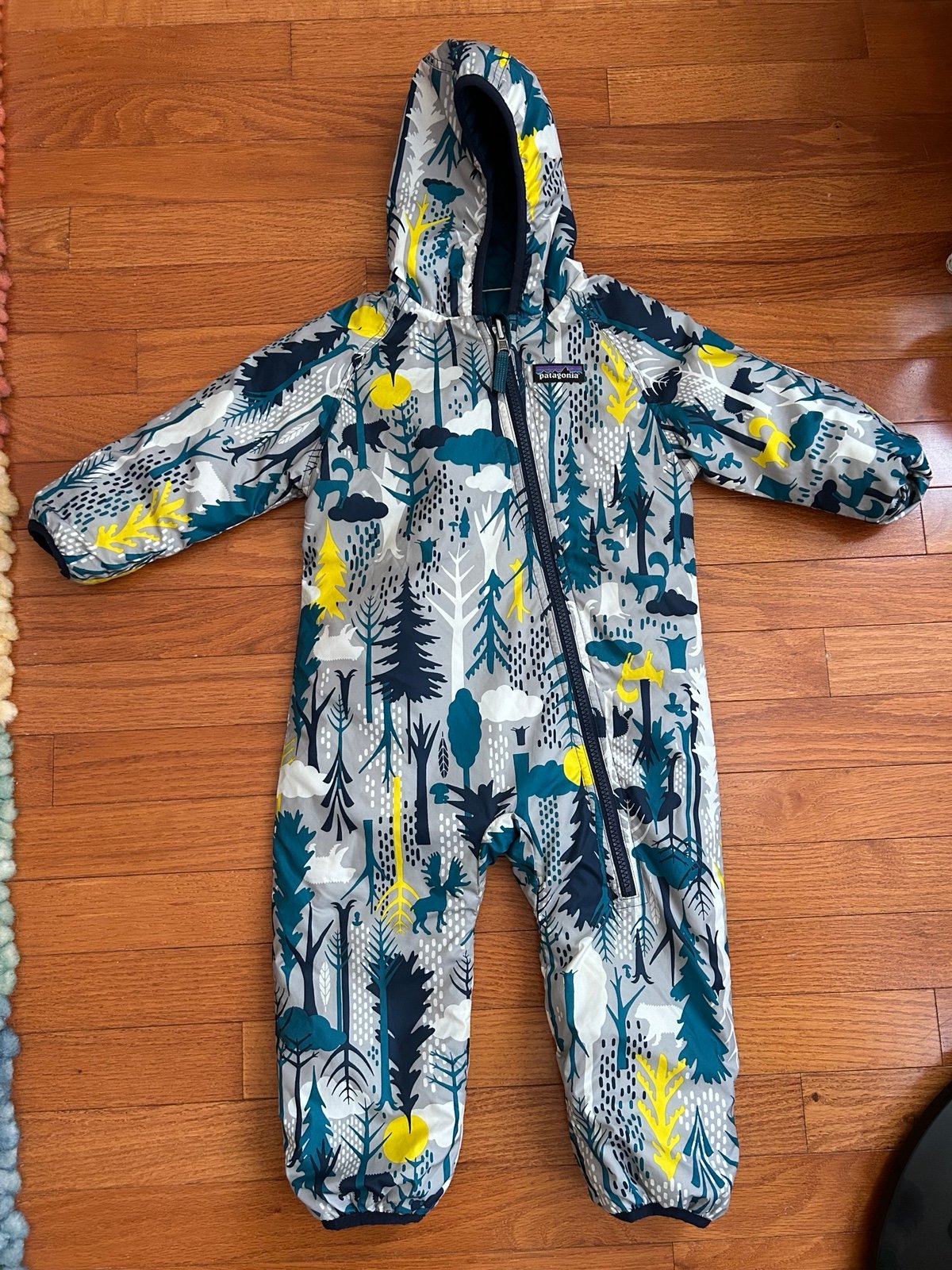 Patagonia Reversible Snow Bunting