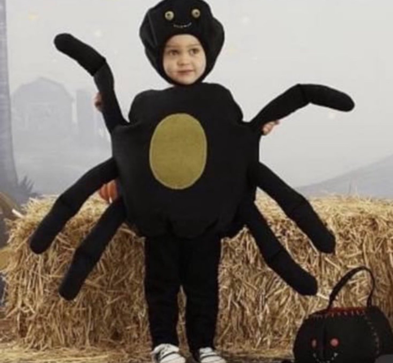 Pottery Barn Black Spider Halloween Costume Baby Size 0-6M